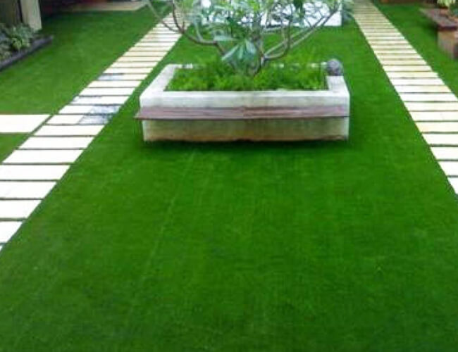 Artificial Grass