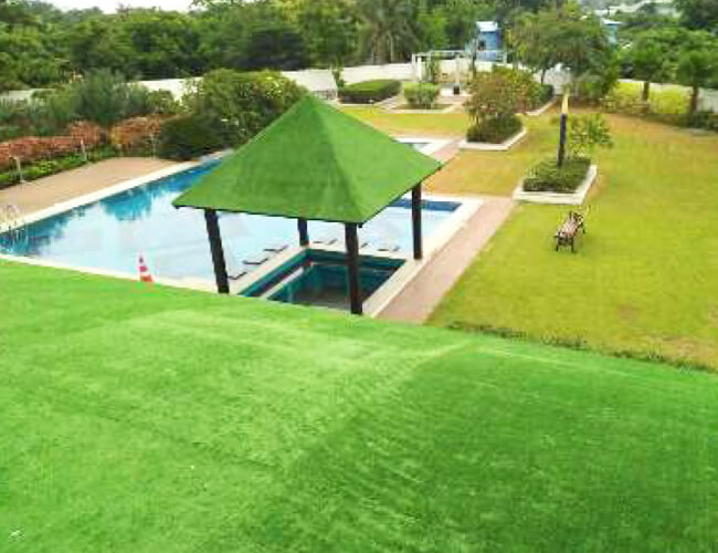 Artificial Grass